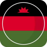 Malawi News logo