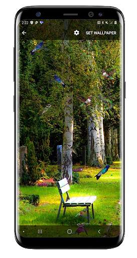 Birds Flying Live Wallpaper screenshot 6