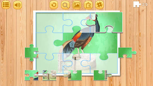 Jigsaw Birds Collection Puzzle 2- Educational Game screenshot 6