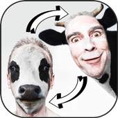 Face Swap 1.1.v7a