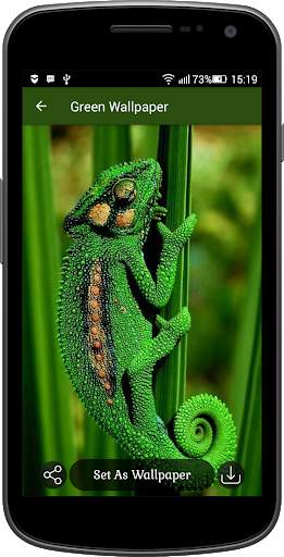 Green Wallpaper screenshot 4