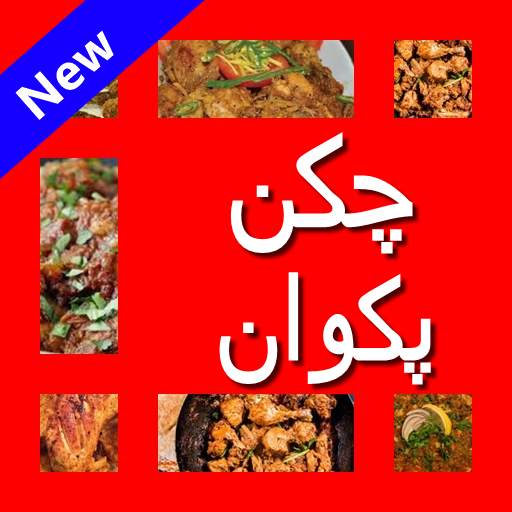 Chicken Recipes In Urdu screenshot 7