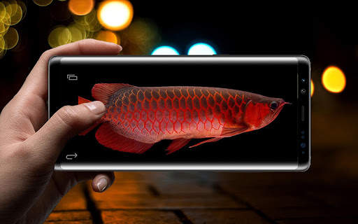 Red Arowana 3D LiveWallpaper screenshot 4