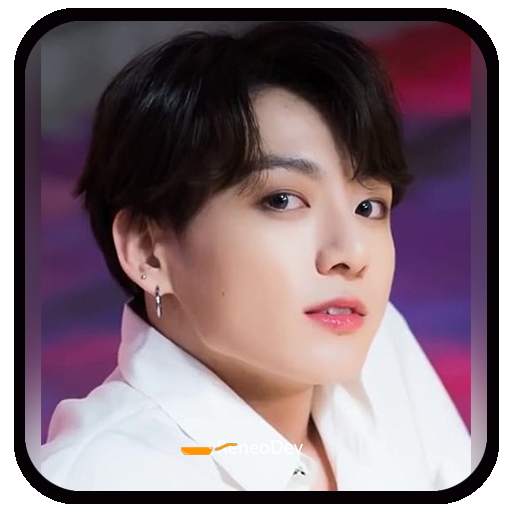 Jungkook BTS Wa Sticker 1.1