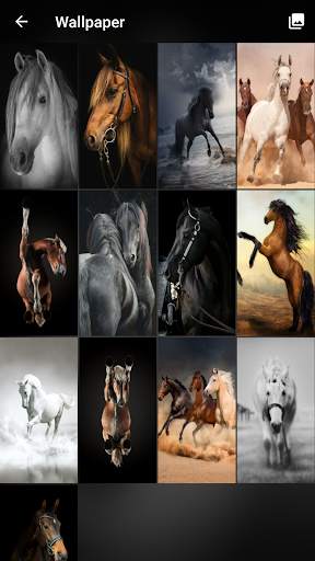 Horses Pattern Lock Screen 🐴 5 تصوير الشاشة