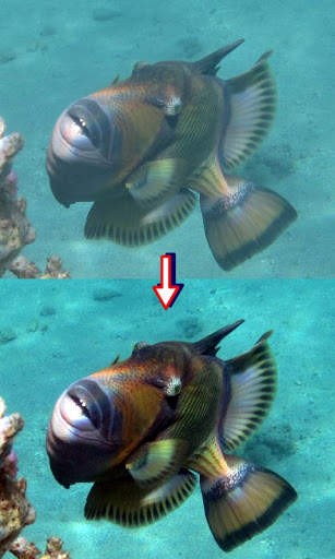 PhotoFixer Free screenshot 5