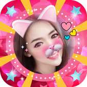 Selfie Cat Face Filter Effect