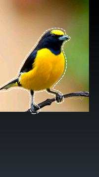 Cortar Pegar Photo Editor screenshot 4