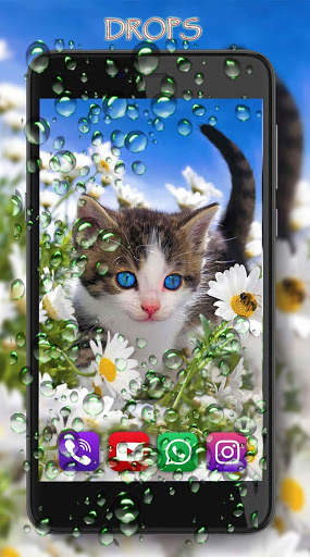 Kittens Lovely LWP screenshot 2