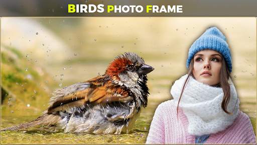 Birds Photo Frames स्क्रीनशॉट 4