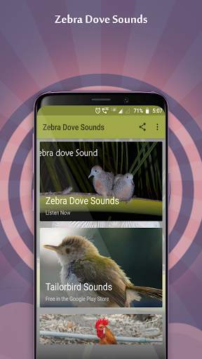 Zebra Dove Sounds screenshot 1