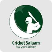 Cricket Salaam logo