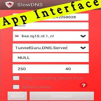 Guide for VPN Over DNS Tunnel : SlowDNS screenshot 7