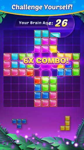 Block Puzzle 6 تصوير الشاشة