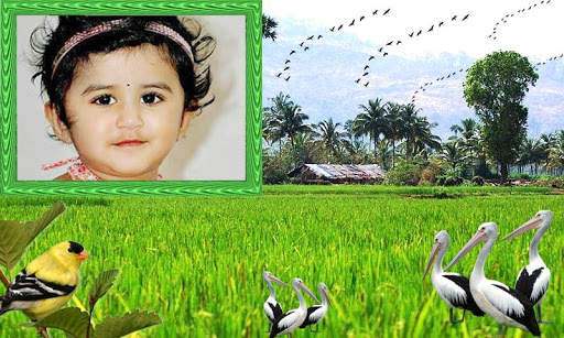 Village House Photo Frames screenshot 4