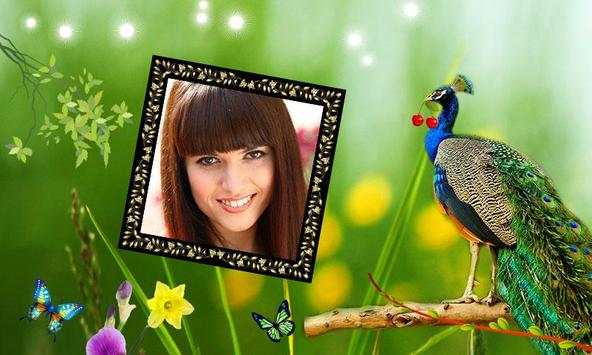 Peacock Photo Frames HD screenshot 4