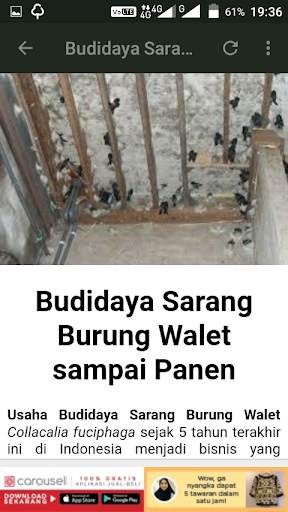 Pemanggil Walet Mp3 screenshot 5