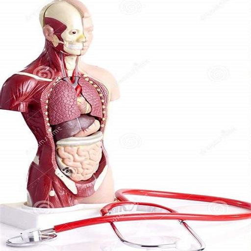All Anatomy Mnemonic icon