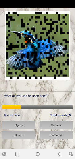 Photo Quiz screenshot 3