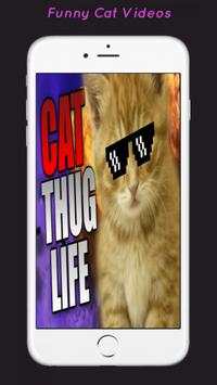 Funny Cat Videos screenshot 2
