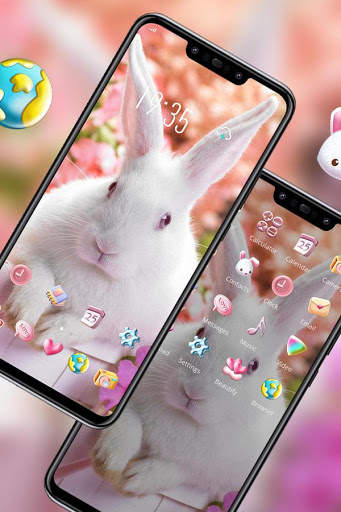 Flower And White Rabbit Have A Spirit theme screenshot 2
