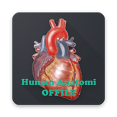 Anatomia umana (OFFINE) icon