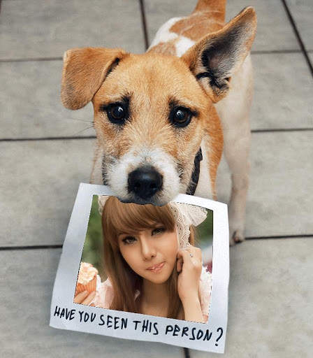 Animal Photo Frames screenshot 1
