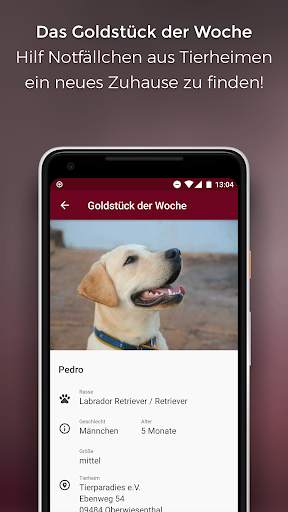 my o' dog screenshot 6