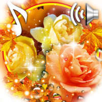 Roses Autumn Live Wallpaper on 9Apps