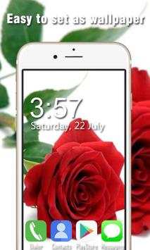 Rose Live Wallpapers HD screenshot 1