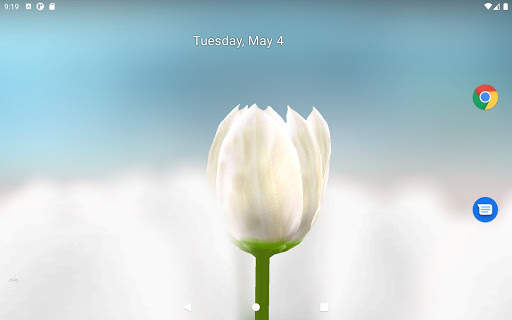 3D Tulip Live Wallpaper screenshot 5