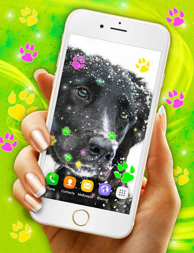 Cute Puppy Live Wallpaper 🐶 Dog Paws Wallpapers screenshot 4