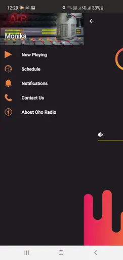 Oho Radio screenshot 3