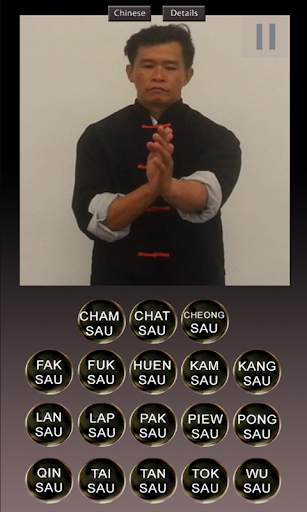 Wing Chun Hands screenshot 6