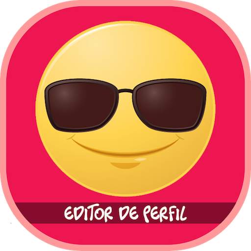 Editor de Perfil 3