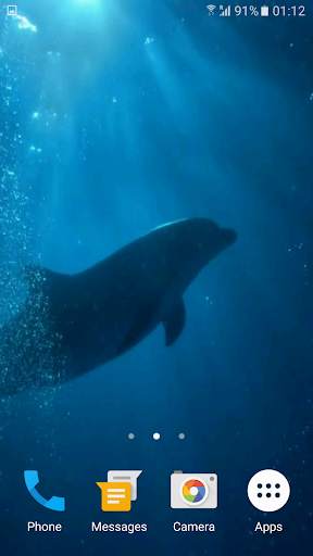 Dolphins 3D Video Wallpaper screenshot 1