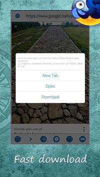 Browser 2018 screenshot 5