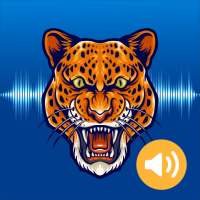 Animal & Bird Sounds : Ringtones