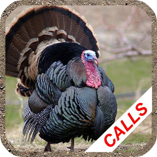 Turkey hunting calls 3.37