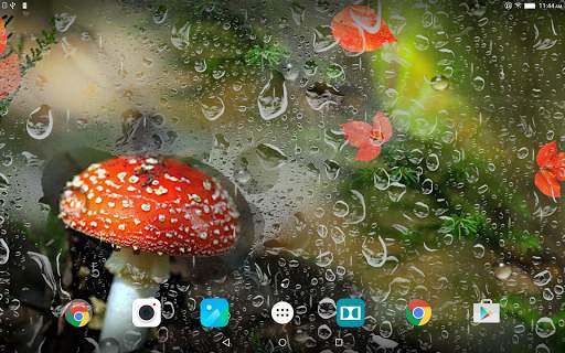Mushrooms Live Wallpaper screenshot 10