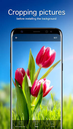 Tulip Wallpapers PRO screenshot 3