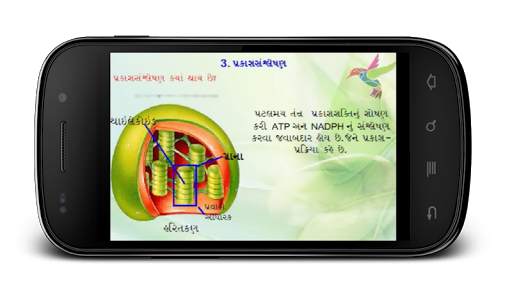 Animated Biology GSEB 12-3-1 screenshot 3