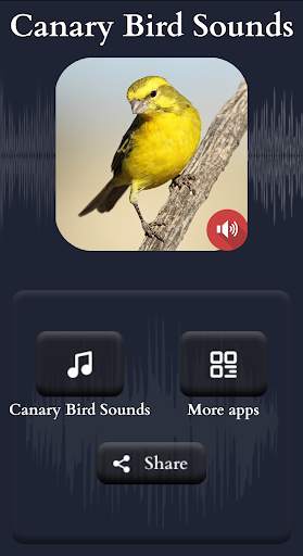 Canary Bird Sounds screenshot 2