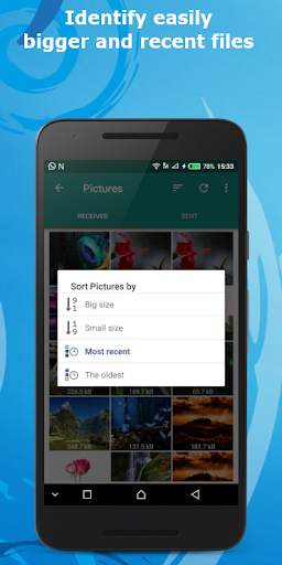 AlphaFile - WhatsApp File Cleaner & Status saver screenshot 2
