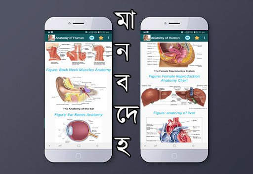 মানবেহ screenshot 7