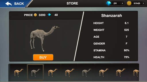 سباق الهجن 2020 screenshot 4