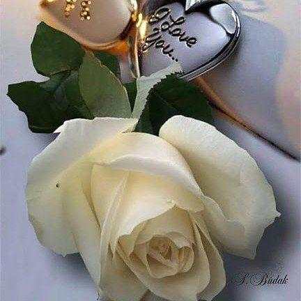 Flowers and Roses Live Wallpaper screenshot 7