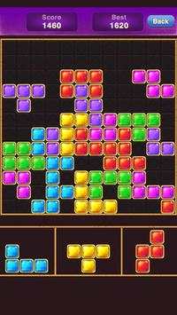 Ludo & Block King screenshot 5