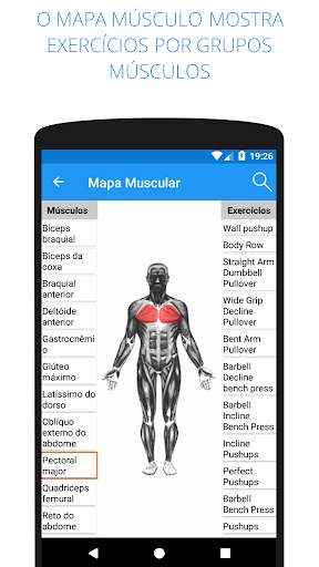 meu Treinamento - Academia e Exercícios screenshot 2