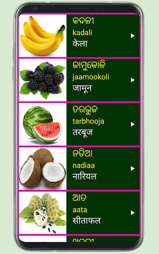Learn Odia From Hindi скриншот 7